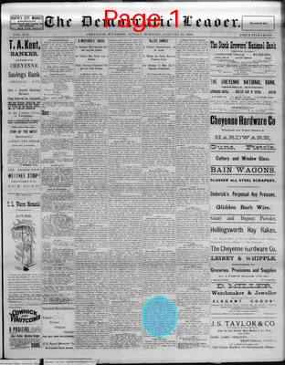 Page thumbnail for The Democratic Leader