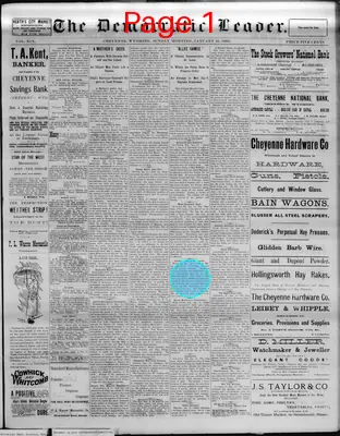 Page thumbnail for The Democratic Leader