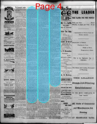 Page thumbnail for The Democratic Leader