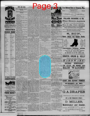 Page thumbnail for The Democratic Leader