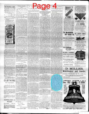 Page thumbnail for The Democratic Leader