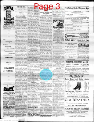 Page thumbnail for The Democratic Leader