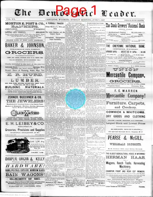 Page thumbnail for The Democratic Leader