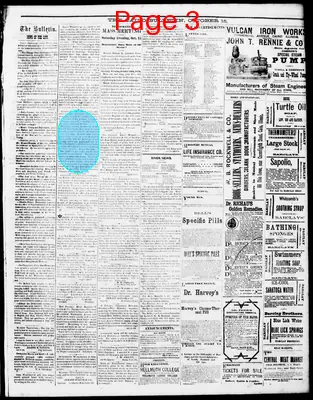 Page thumbnail for The Cairo Daily Bulletin