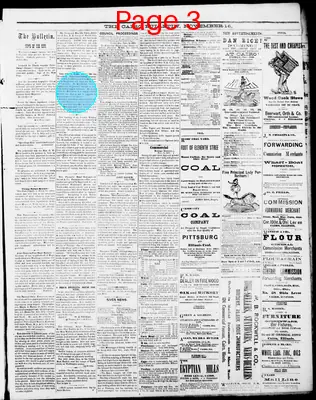 Page thumbnail for The Cairo Daily Bulletin