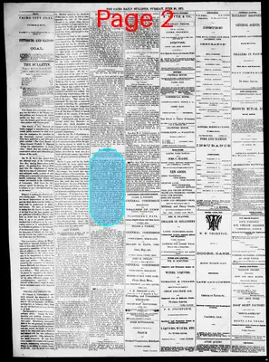 Page thumbnail for The Cairo Daily Bulletin