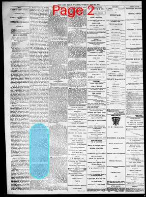 Page thumbnail for The Cairo Daily Bulletin