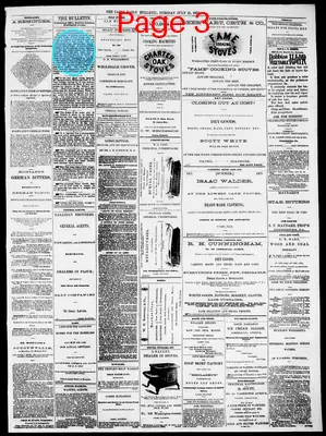 Page thumbnail for The Cairo Daily Bulletin