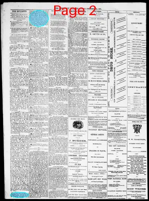 Page thumbnail for The Cairo Daily Bulletin