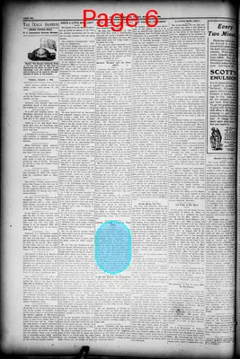 Page thumbnail for The Ocala Banner