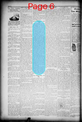 Page thumbnail for The Ocala Banner