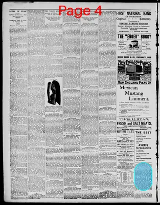 Page thumbnail for The Dickinson Press
