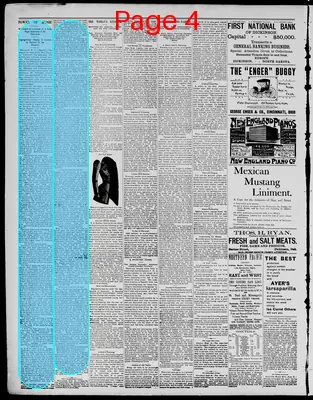Page thumbnail for The Dickinson Press