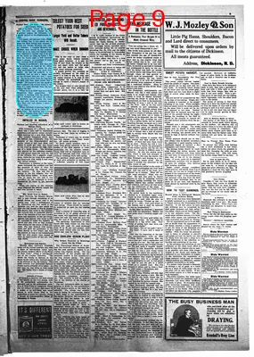 Page thumbnail for The Dickinson Press