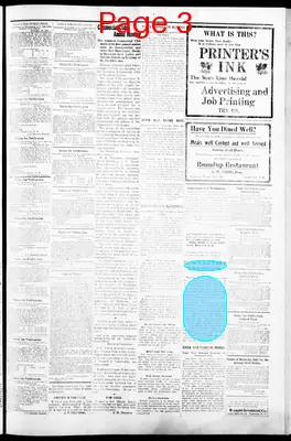 Page thumbnail for The State Line Herald