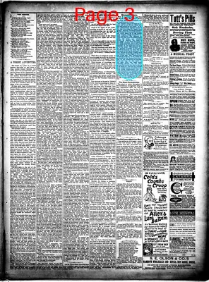 Page thumbnail for The Bottineau Pioneer