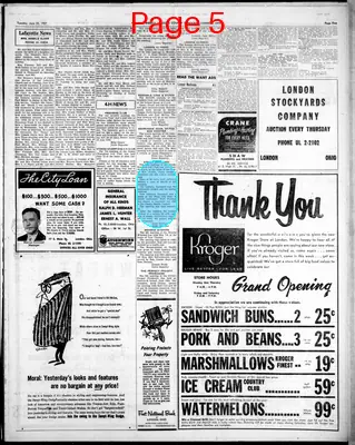 Page thumbnail for Madison County Democrat