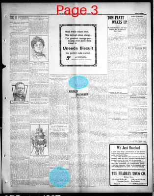 Page thumbnail for The Marion Daily Mirror