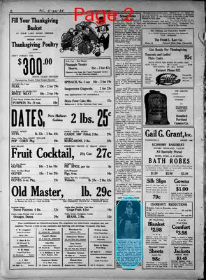 Page thumbnail for Fairport Beacon