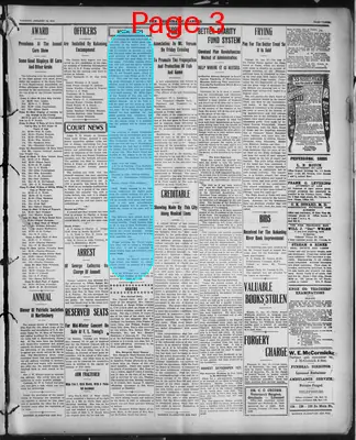Page thumbnail for The Democratic Banner