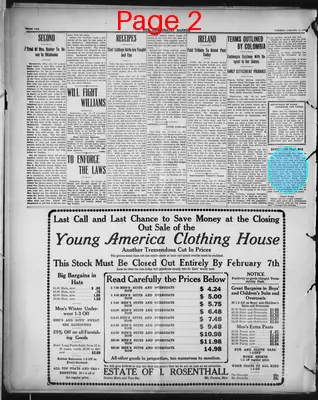 Page thumbnail for The Democratic Banner