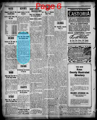 Page thumbnail for The Democratic Banner