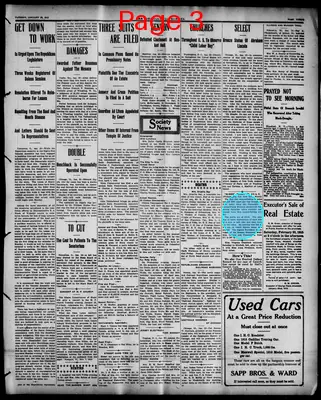 Page thumbnail for The Democratic Banner