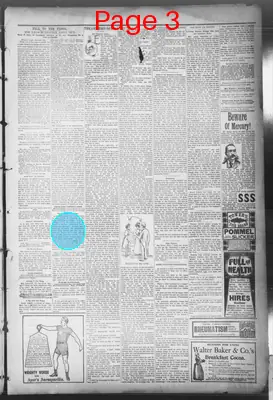 Page thumbnail for The Bryan Daily Eagle