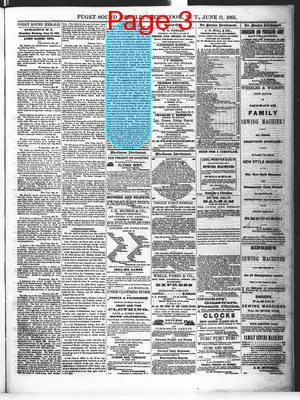 Page thumbnail for Puget Sound Herald