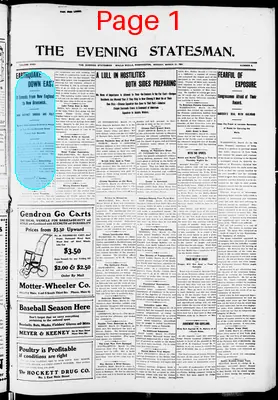Page thumbnail for The Evening Statesman