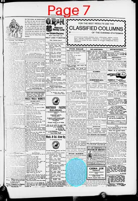 Page thumbnail for The Evening Statesman