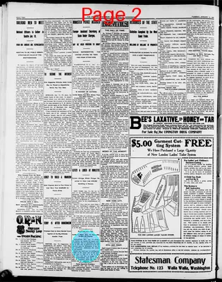 Page thumbnail for The Evening Statesman