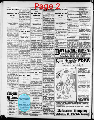 Page thumbnail for The Evening Statesman