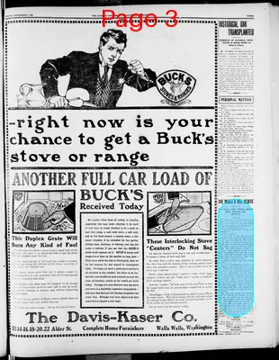 Page thumbnail for The Evening Statesman