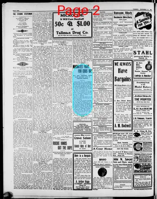 Page thumbnail for The Evening Statesman