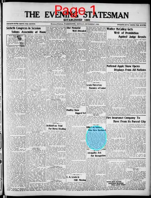 Page thumbnail for The Evening Statesman