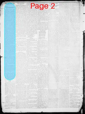 Page thumbnail for Pullman Herald