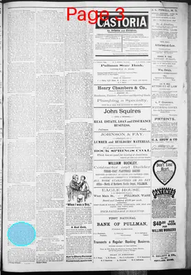 Page thumbnail for Pullman Herald