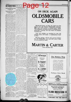 Page thumbnail for Pullman Herald
