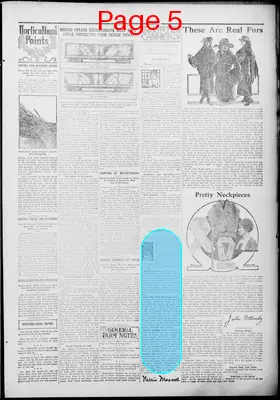 Page thumbnail for The Newark Journal