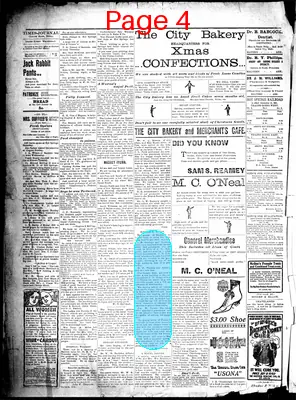 Page thumbnail for The Times Journal