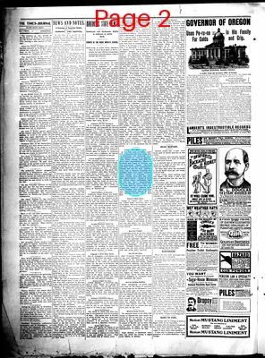 Page thumbnail for The Times Journal