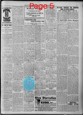 Page thumbnail for The Savannah Morning News