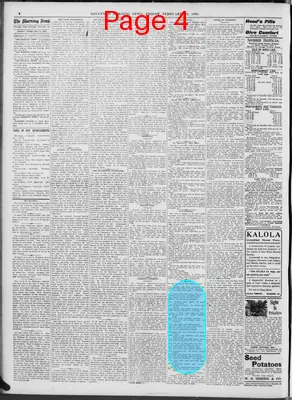 Page thumbnail for The Savannah Morning News