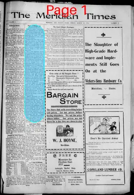 Page thumbnail for The Meridian Times