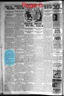 Page thumbnail for The Meridian Times