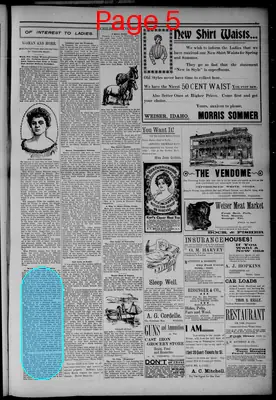 Page thumbnail for The Weiser Signal