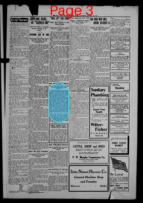 Page thumbnail for The Daily Star Mirror