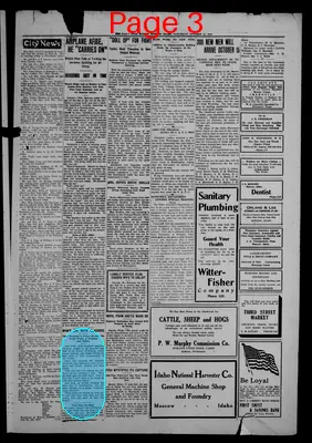 Page thumbnail for The Daily Star Mirror