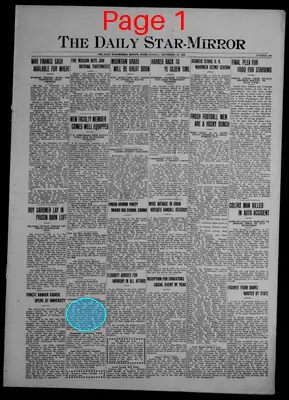 Page thumbnail for The Daily Star Mirror